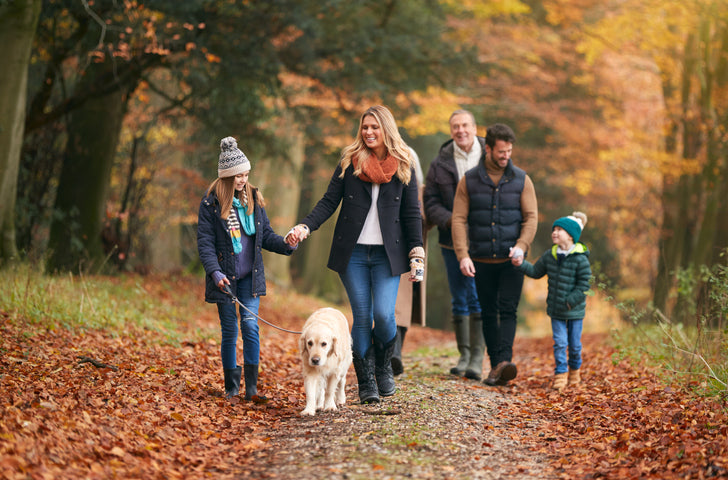 Huisje met jacuzzi en blije hond op de Veluwe